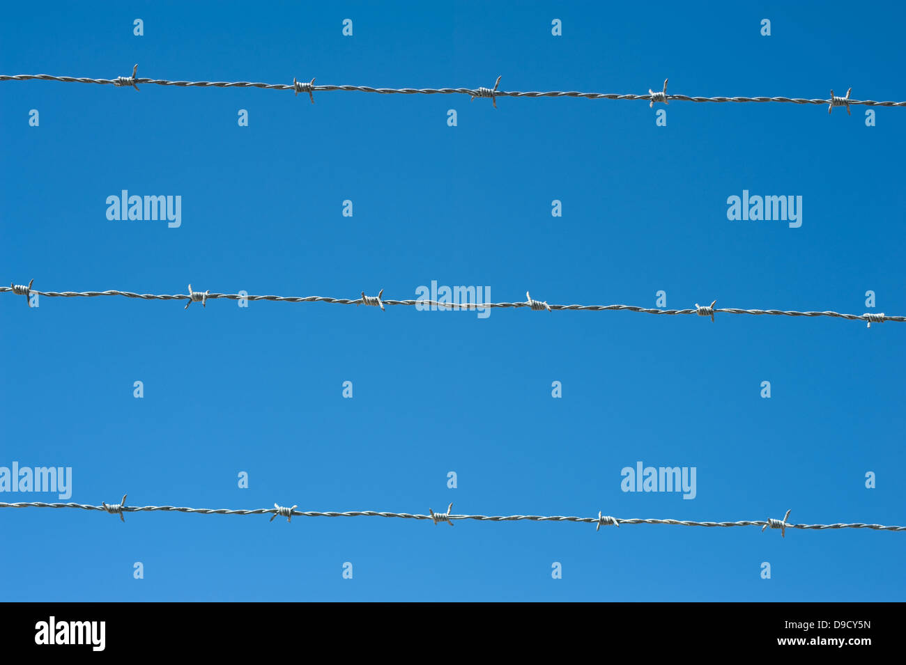 Bild von einem Stacheldraht gegen den blauen Himmel Stockfoto