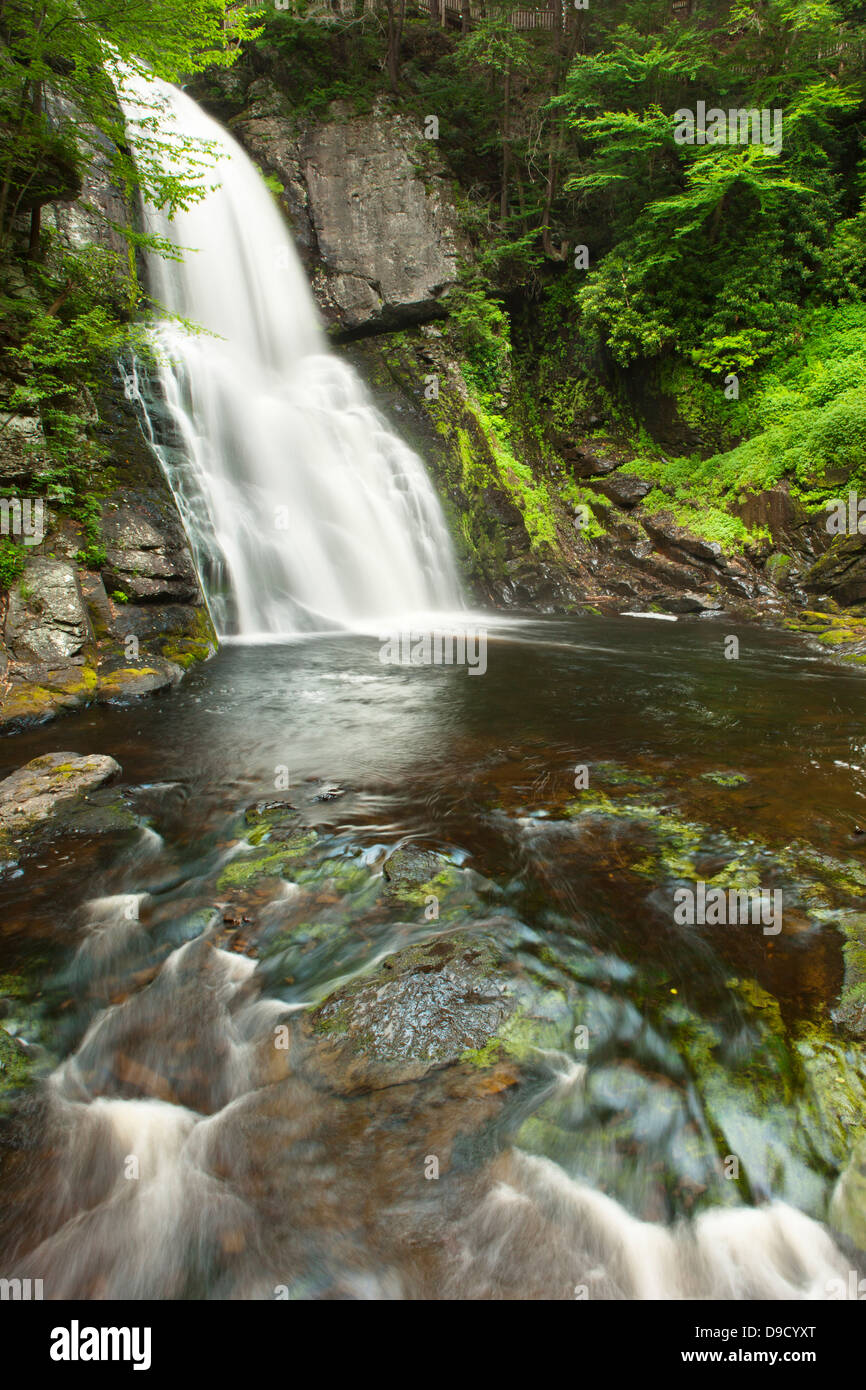 MAIN WASSERFÄLLE BUSHKILL FALLS THEMENPARK BUSHKILL CREEK PIKE COUNTY PENNSYLVANIA USA Stockfoto