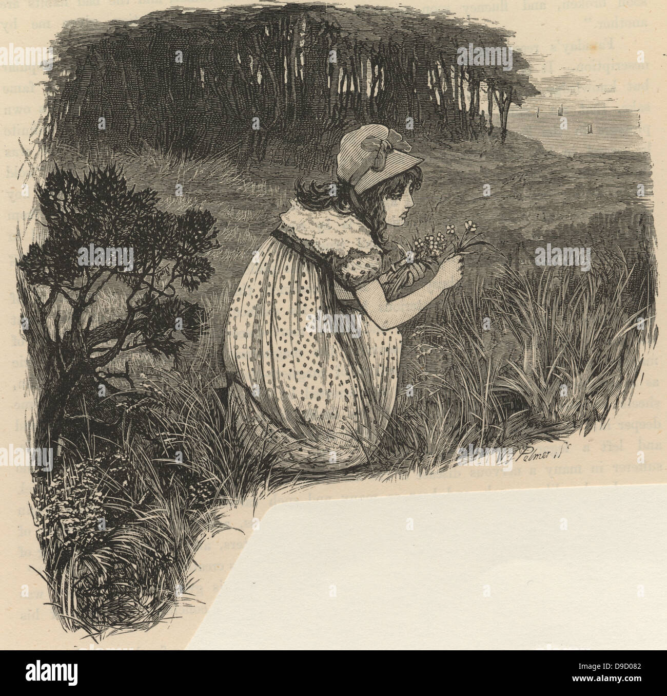 Mary Somerville, geboren Fairfax (1780-1872) Schottischer wissenschaftlicher Autor und Universalgelehrten, als Kind. Studierte Mathematik und Astronomie, Themen nicht als geeignet für eine Frau. 1835 Sie und Caroline Herschel gewählten ersten Frauen Mitglieder der Royal Astronomical Society. Somerville College, Oxford, für Ihr benannt. Stockfoto