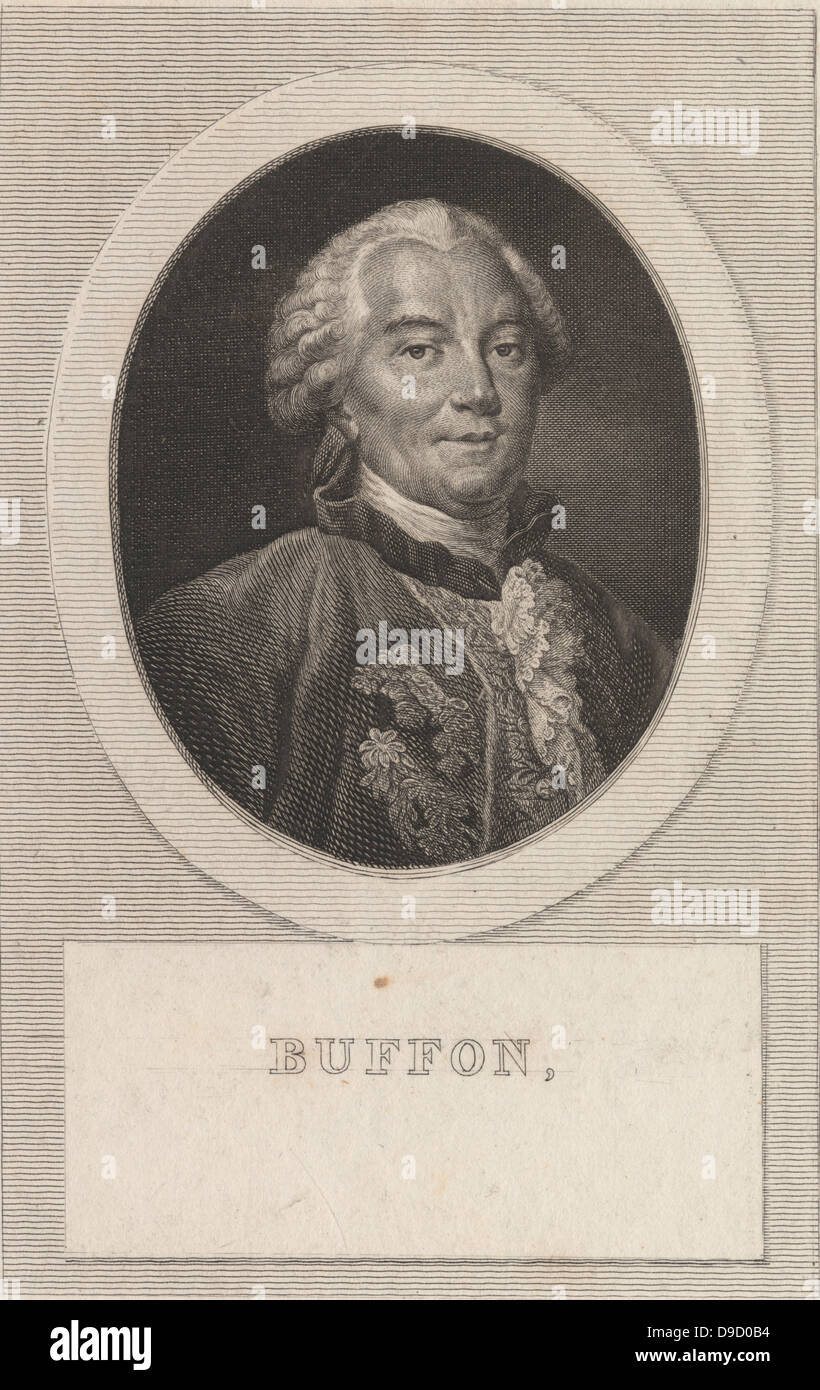 Georges Louis Leclerc, Comte de Buffon (1707-1788), französischer Naturforscher, Mathematiker und Kosmologe. Thema der 44 band Histoire Naturelle 1749-1767. Portrait Gravur 1761. Stockfoto