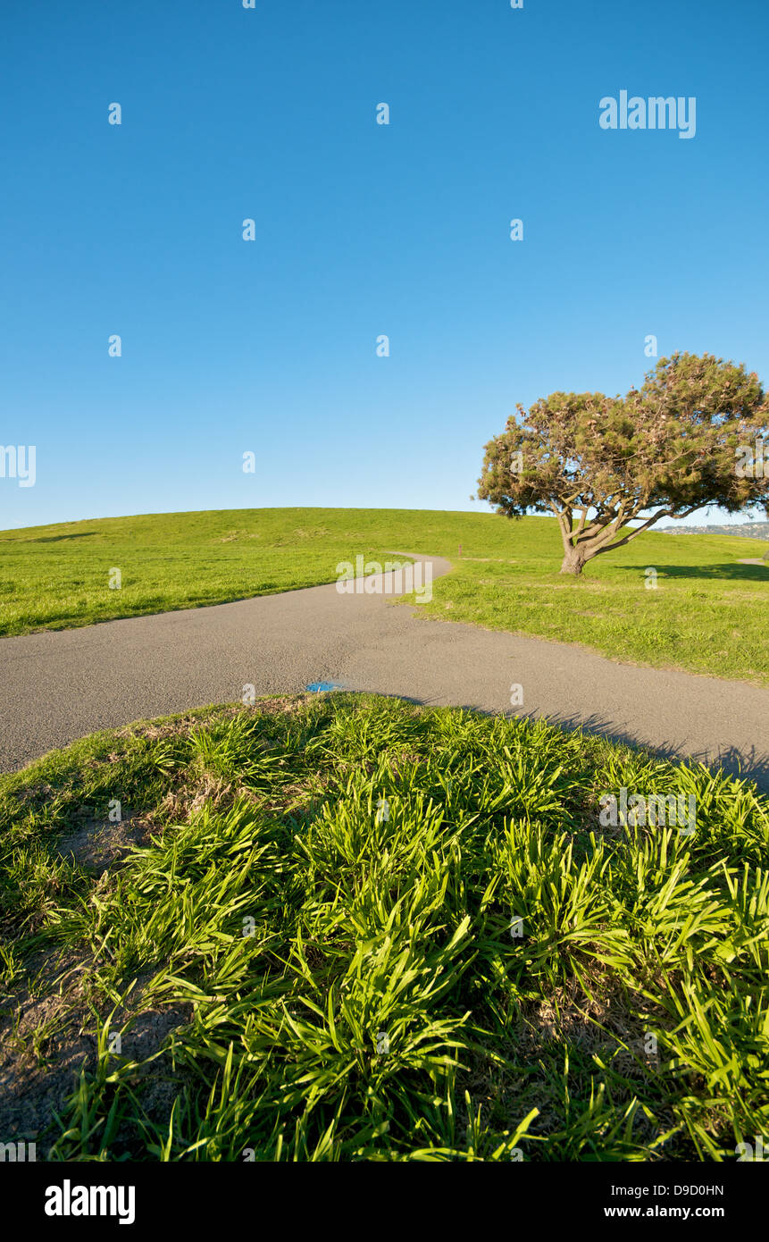 Green Grass Landschaft und blauer Himmel in Berkeley Marina in der East Bay, Kalifornien Stockfoto
