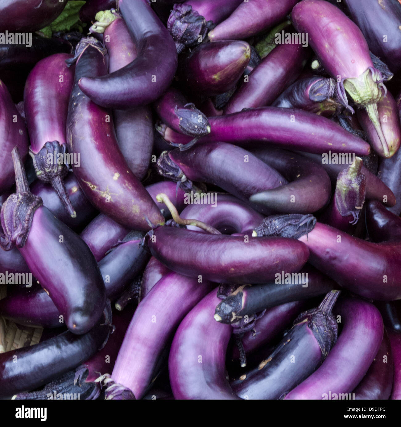 Frisch gepflückt Auberginen auf dem Display auf dem Bauernmarkt Stockfoto