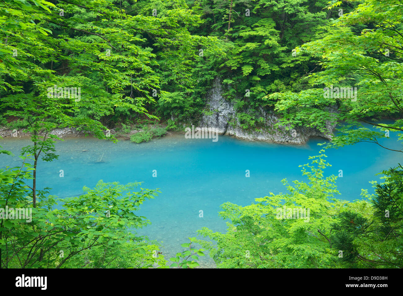Bäume und Wasserstrom, Präfektur Akita Stockfoto