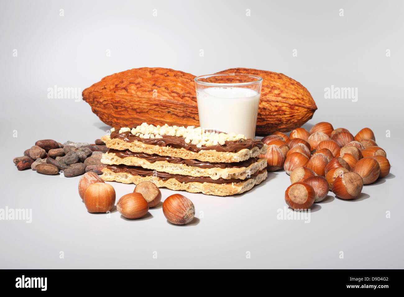 Nuss Nougat schneidet mit Milch, Kakaofrucht und Haselnüssen Stockfoto