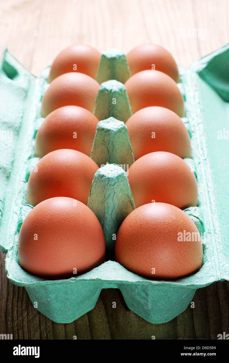 Huhn braunen Eiern in Greenbox-Nahaufnahme Stockfoto