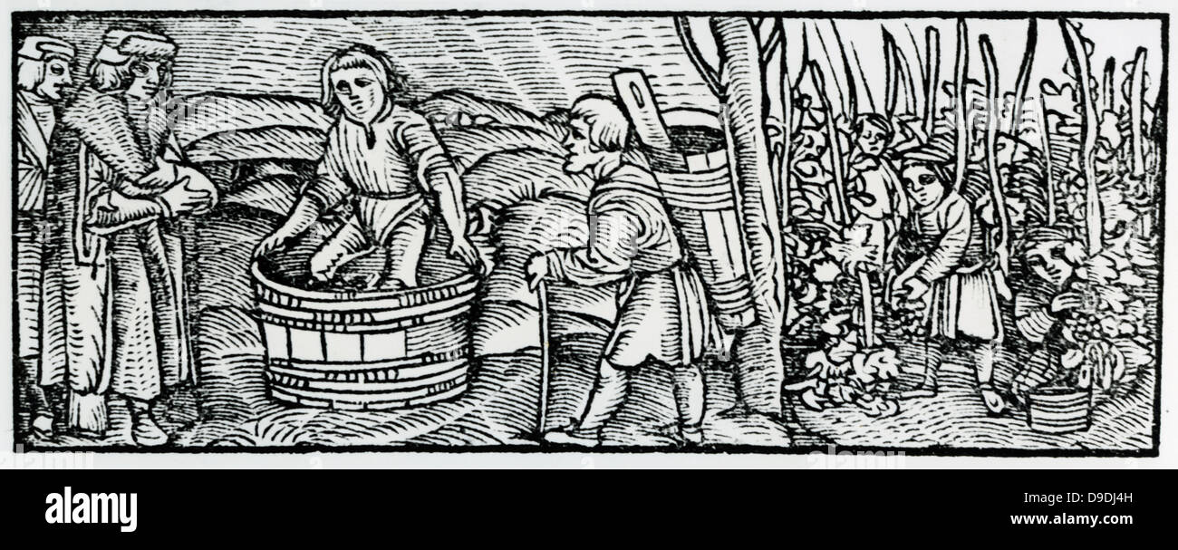 Mit einem fahrbaren Pflug Pflügen.  Holzschnitt von 1518 '' Calendarum Romanum Magnum''. Stockfoto