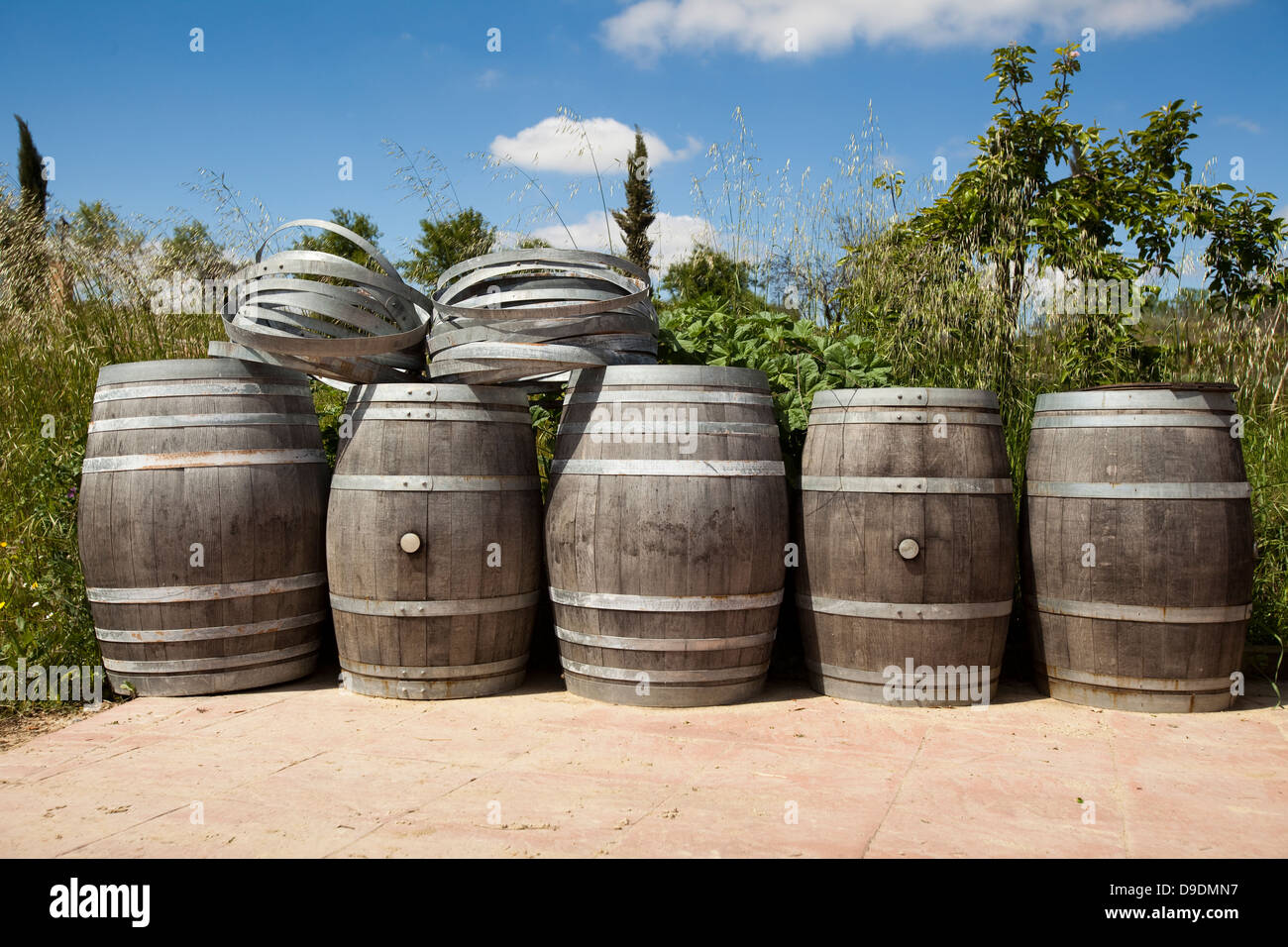 Fünf leere Fässer Wein Stockfoto
