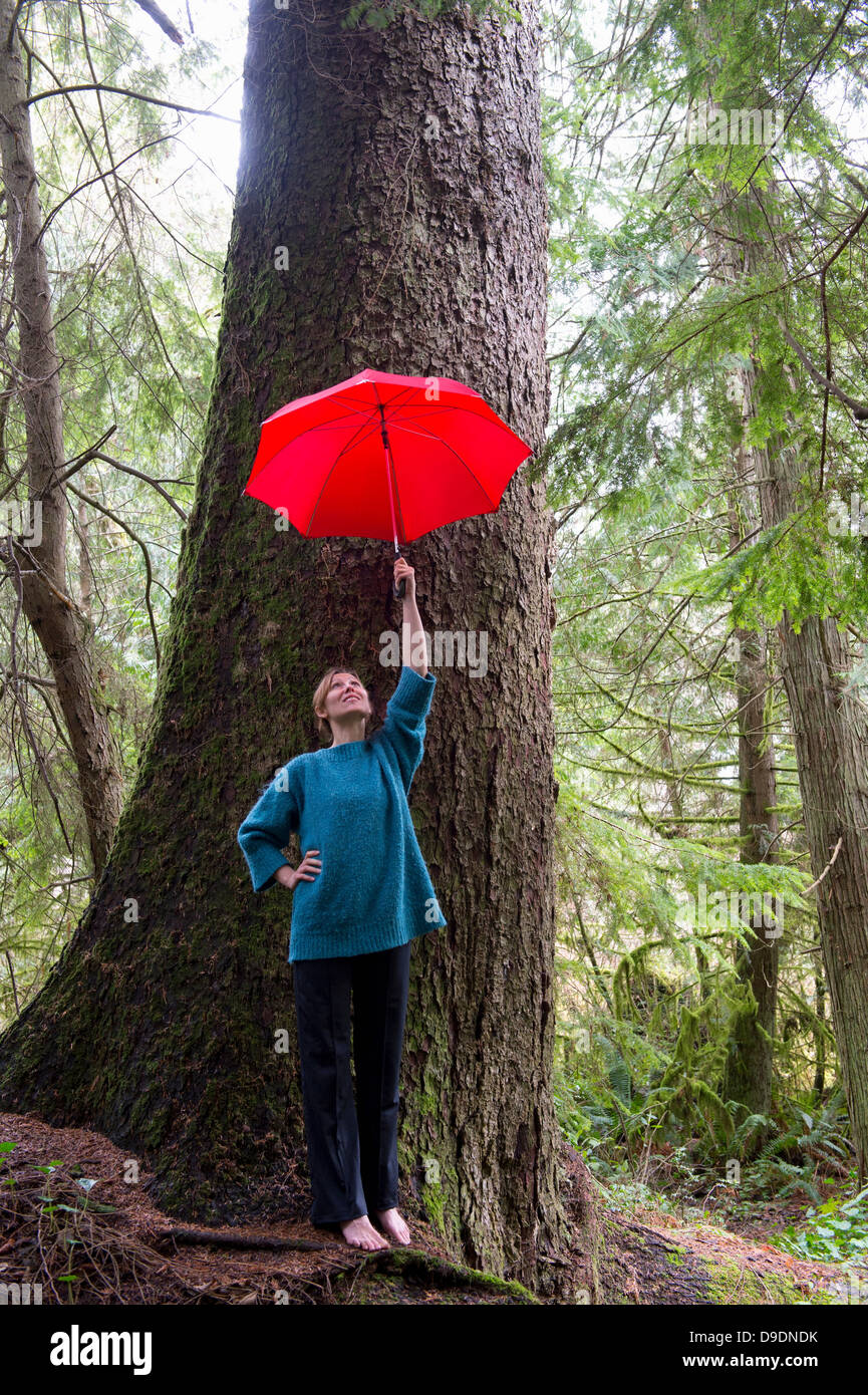 Reife Frau mit roten Regenschirm im Wald Stockfoto