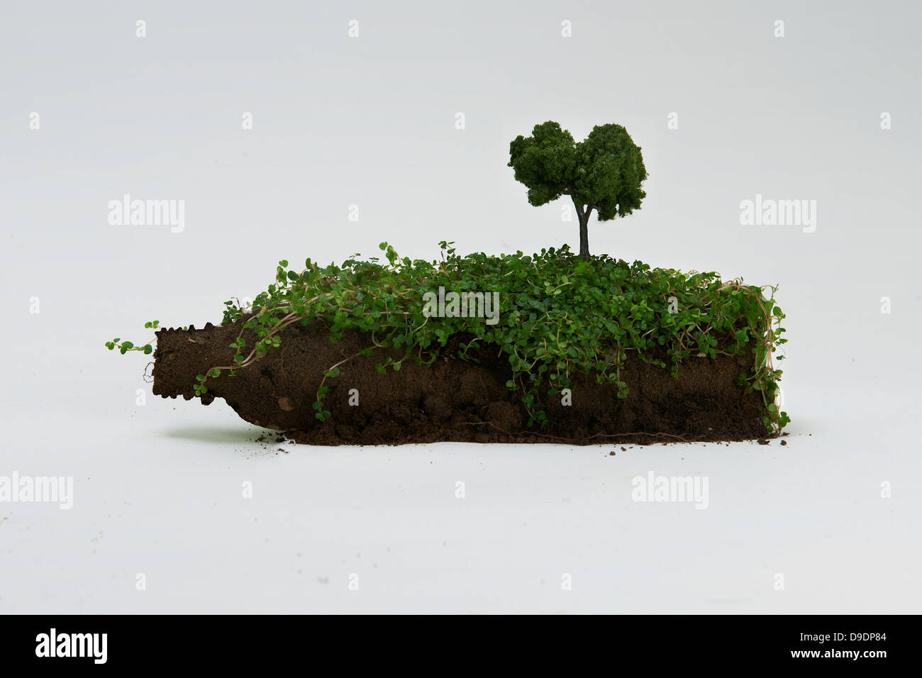 Boden in Flaschenform mit Miniaturbaum Stockfoto