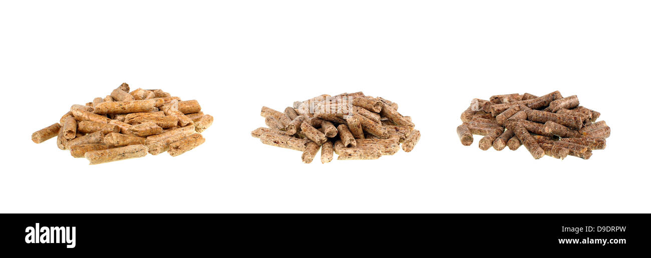 Verschiedene Arten von Pellets Eiche Kiefer Tanne Stockfoto
