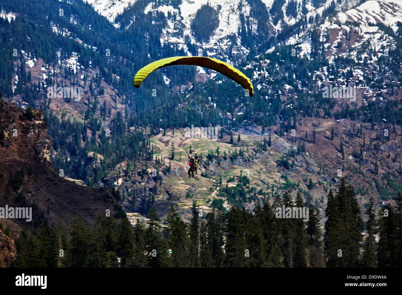 Paragliding über ein Tal, Manali, Himachal Pradesh, Indien Stockfoto