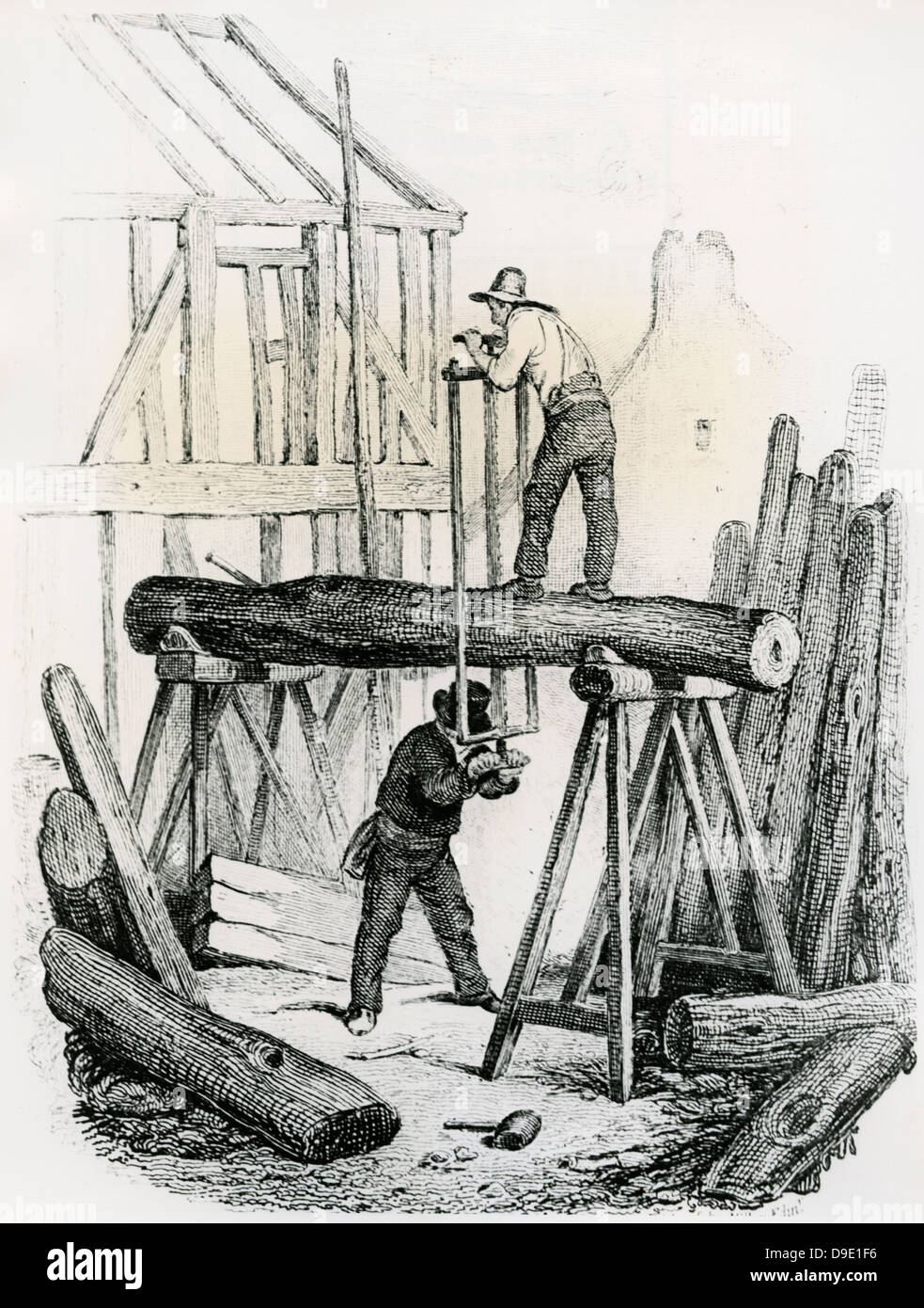 Baumstamm in Bretter Sägen. Gravur, London, 1837 Stockfotografie - Alamy