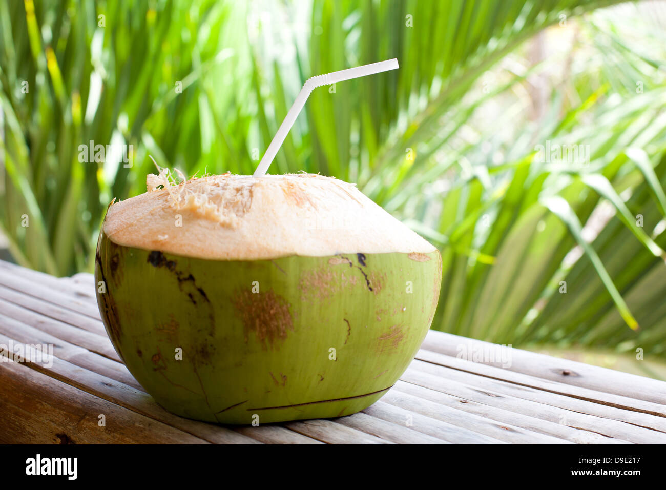 Frische grüne Kokosnuss auf Palm-Baum-Hintergrund Stockfoto