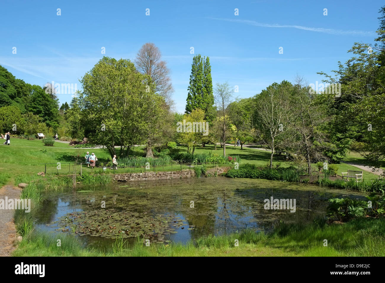 UK, Cheshire, Ness Botanic Gardens Stockfoto