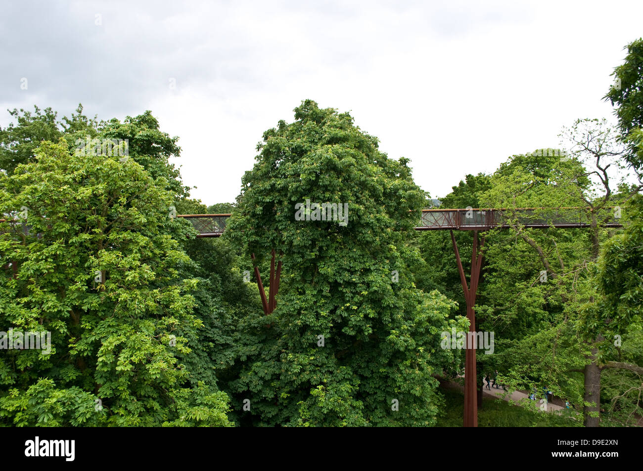 Xstrata Treetop Walkway, Kew Royal Botanic Gardens, London, UK Stockfoto