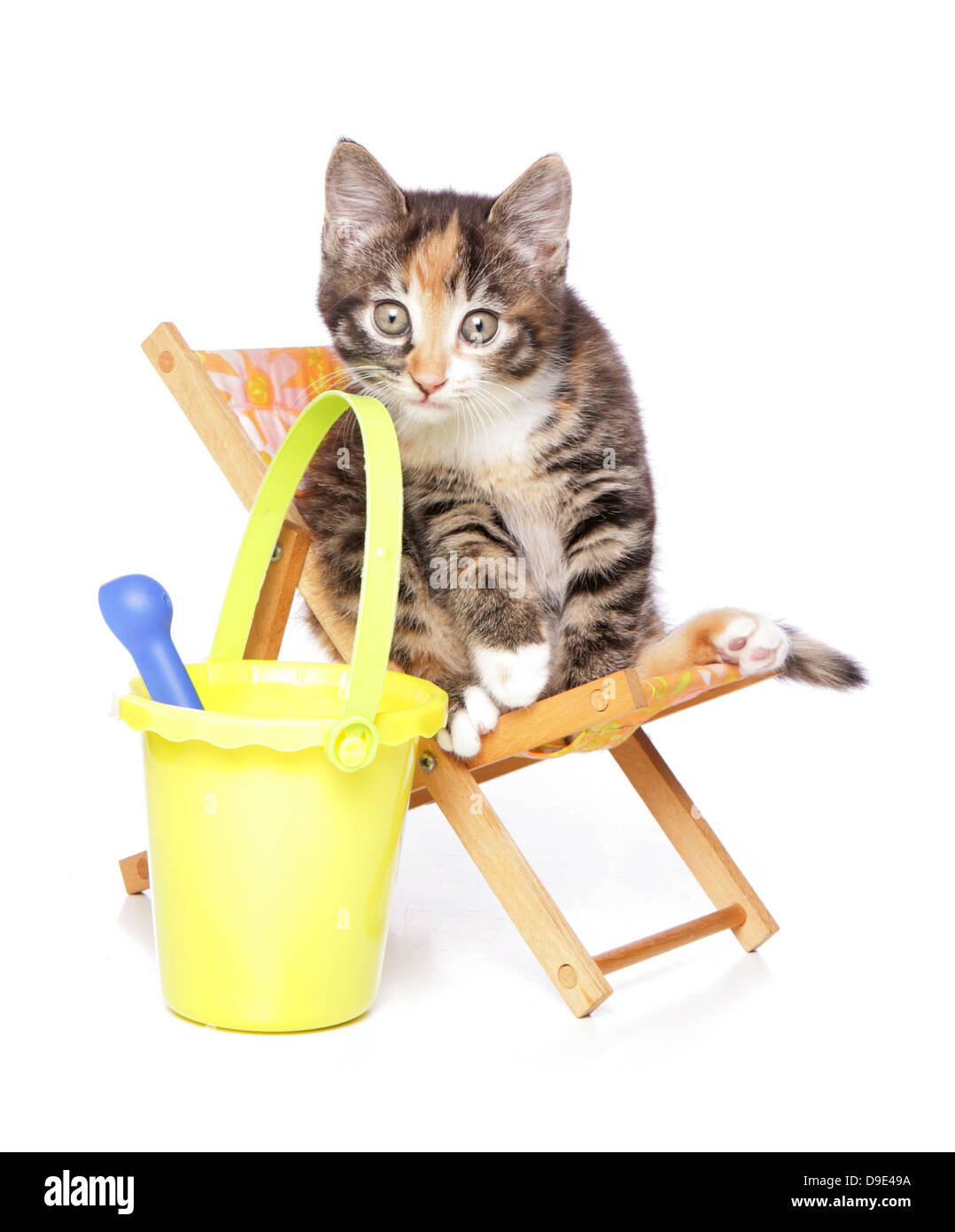 Kätzchen auf einem Liegestuhl Stockfoto