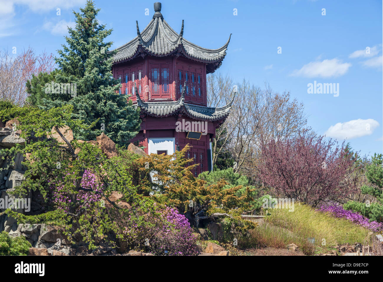 Chinesische pagodenblume Fotos und Bildmaterial in hoher Auflösung