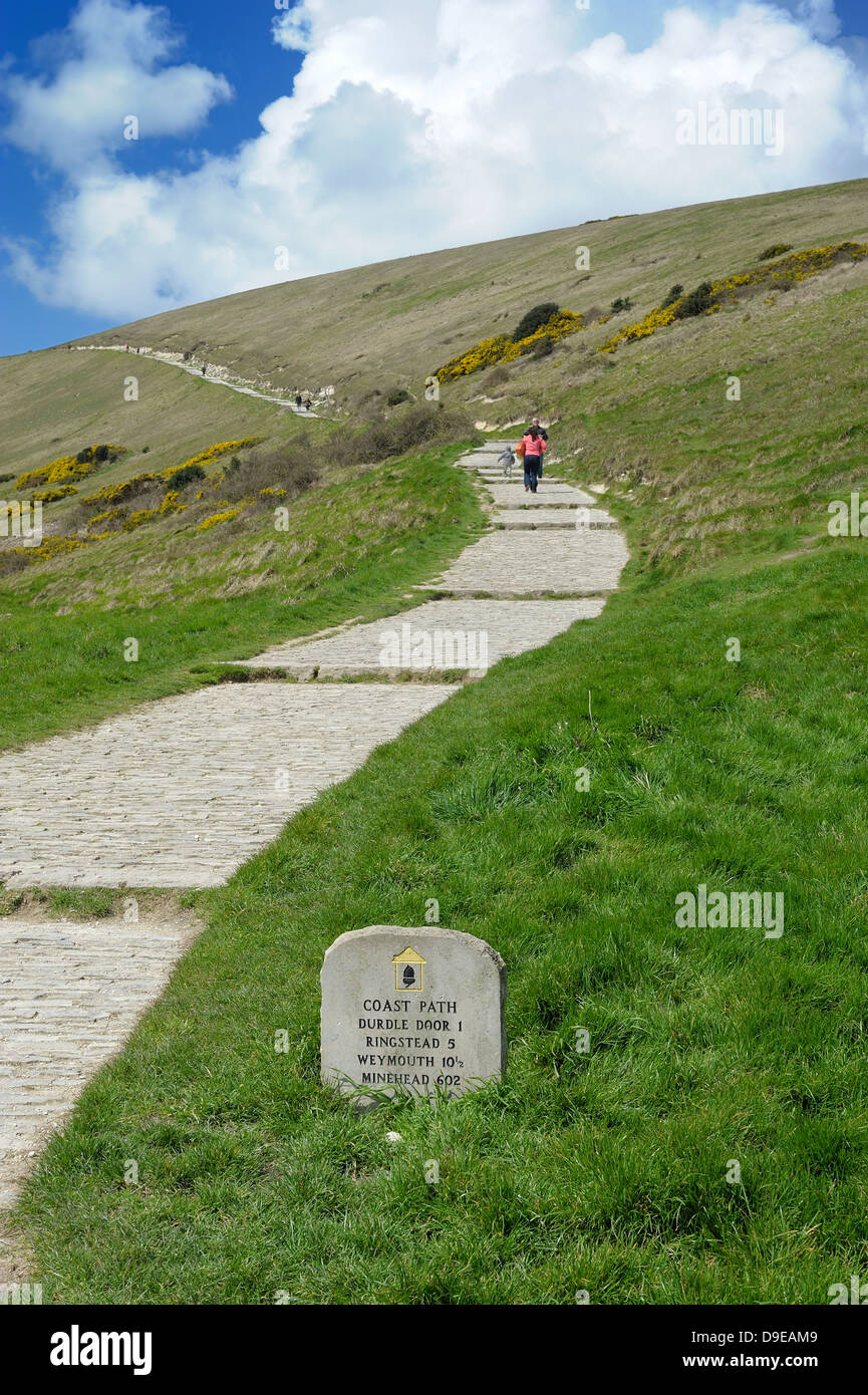 Küstenweg nach Durdle Door Dorset England uk Stockfoto