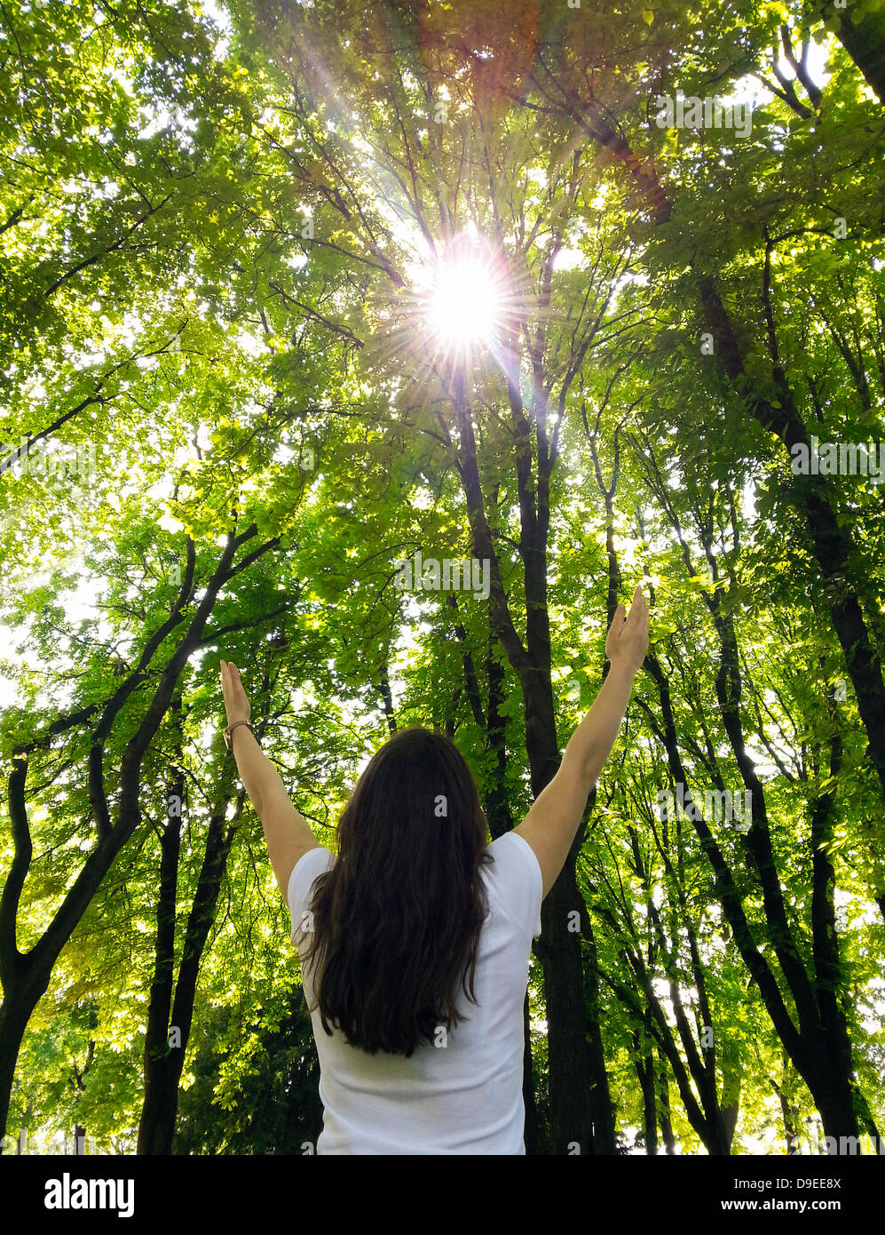 Junge Frau mit Armen hob genießen die frische Luft im grünen Wald Stockfoto