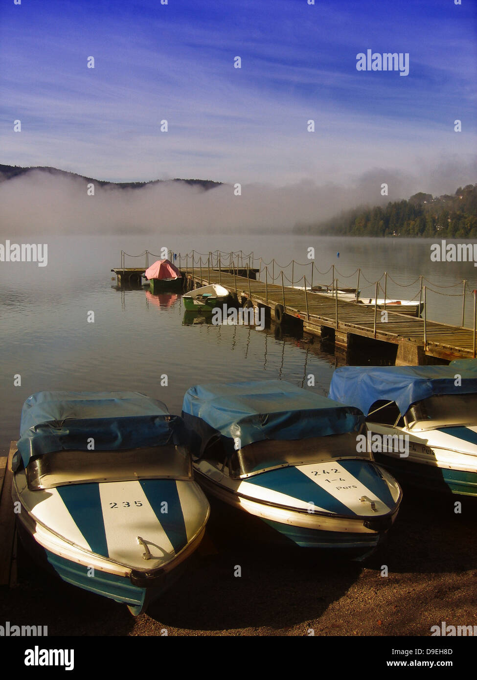 Boote Hafen Web finden Sie unter Wasser dock-Schwarzwald Stockfoto