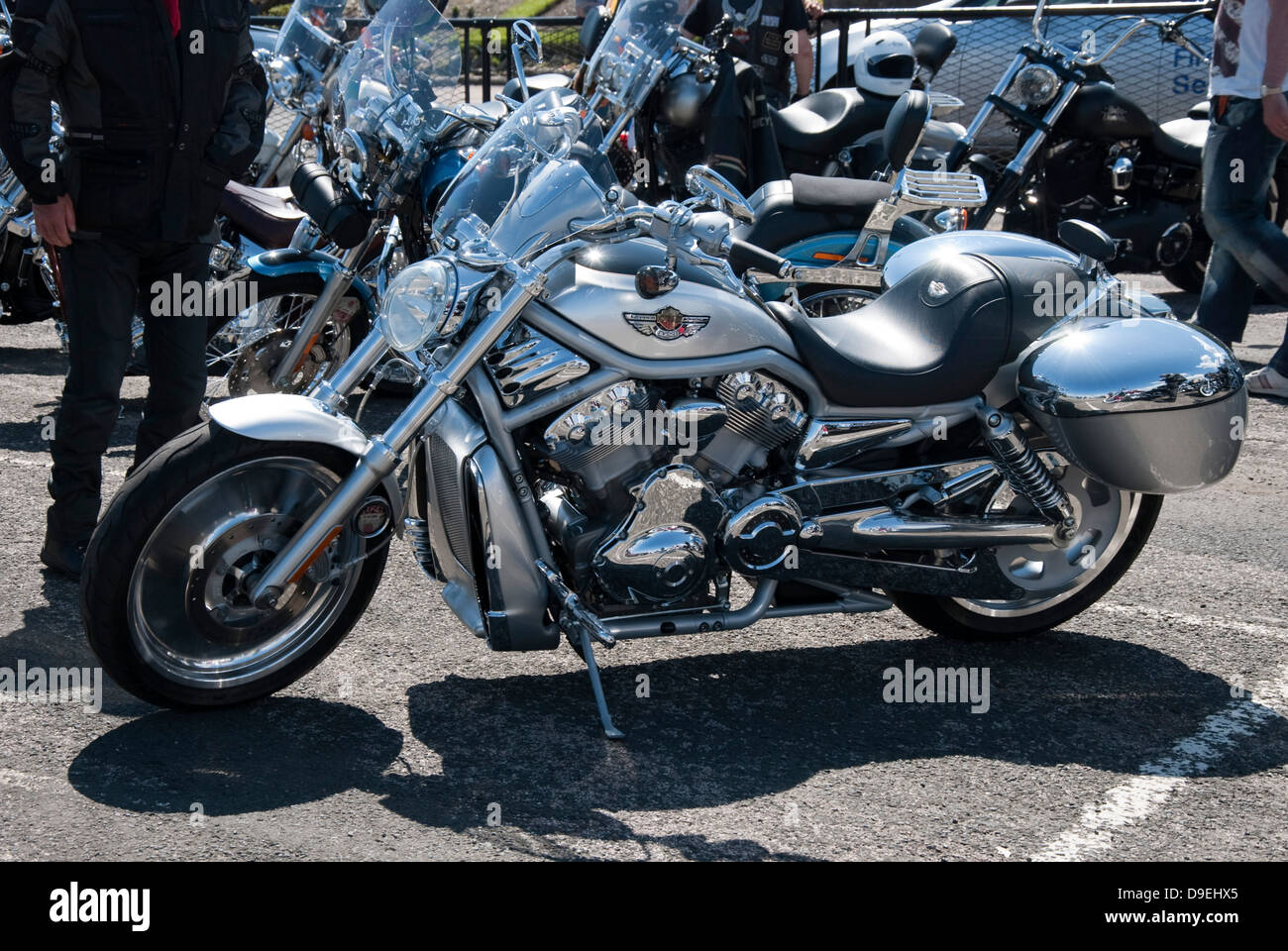 2003 Harley Davidson 100. Jahrestag V Rod Motorrad Stockfoto