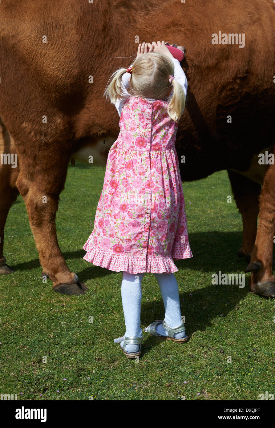Kuh, von einem Kind blondes Mädchen gebürstet Stockfoto