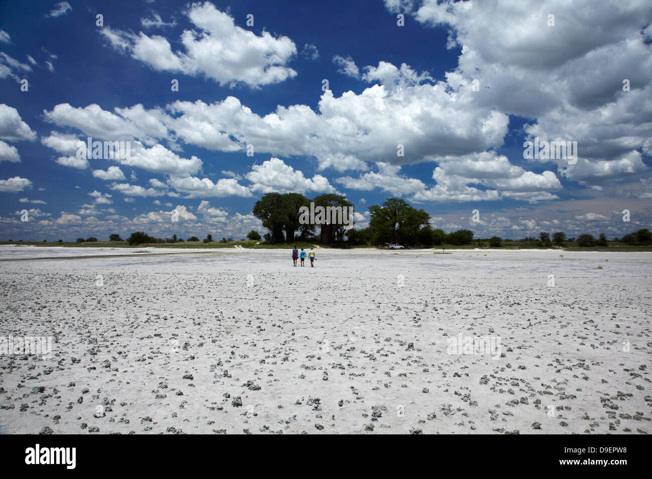Kudiakam Pan, Touristen und Baines Baobabs, Nxai Pan National Park, Botswana, Afrika Stockfoto