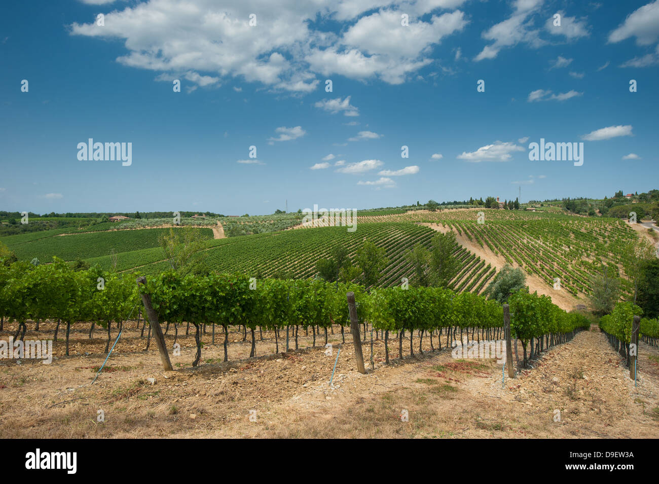 Weingut im Chianti, Toskana Stockfoto