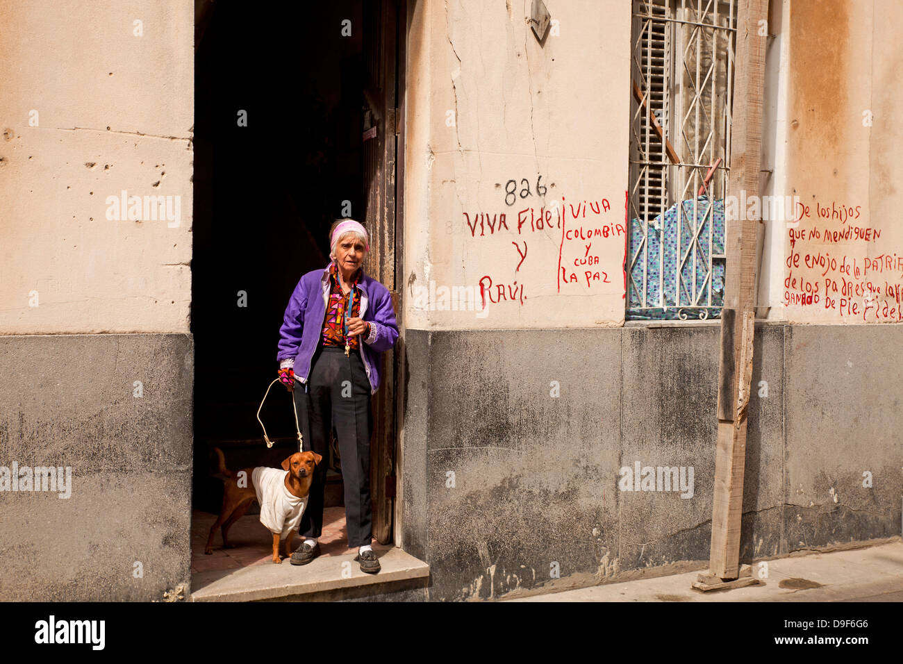 ältere Frau mit Hund in La Habana Vieja, Havanna, Kuba, Karibik Stockfoto