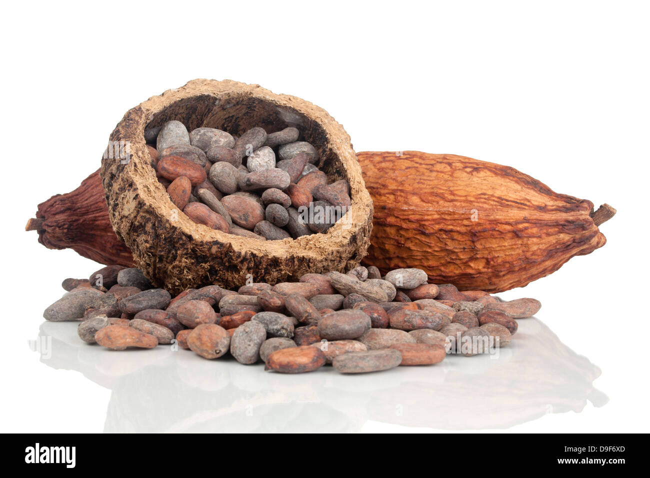 Kakaobohnen mit Kakaofrucht, Kakaobohnen und Kakaofrucht Stockfoto