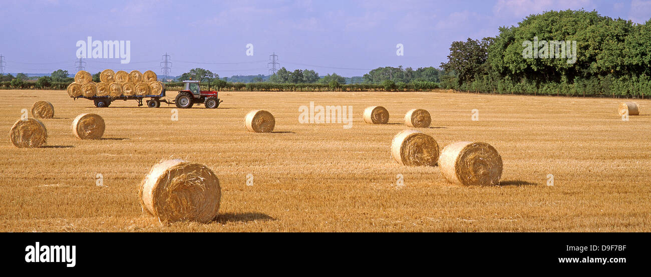 Einen Panoramablick auf Heu- oder Heu Brötchen - plus Traktor und Anhänger in einem Weizenfeld, nach der Ernte, in der Nähe von Stamford, Lincolnshire, England, UK. Stockfoto