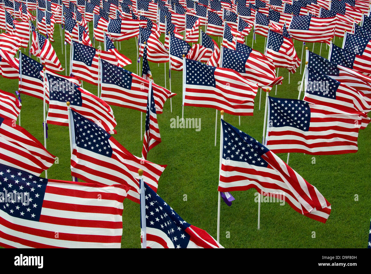 Eine Fülle von amerikanische Flaggen. Stockfoto