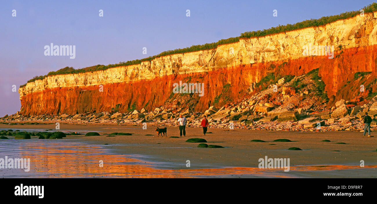 Hunstanton Beach - ein Ehepaar mittleren Alters, ihre Hunde in den warmen, am späten Nachmittag Sonnenschein, mit schönen Licht. Norfolk, England, UK. Stockfoto