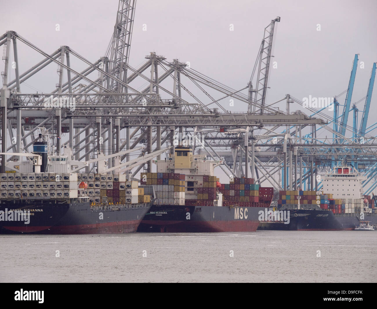 Die neuen Container-Terminals auf der Maasvlakte 2, dem Expansionsbereich des Hafen von Rotterdam, die Niederlande Stockfoto