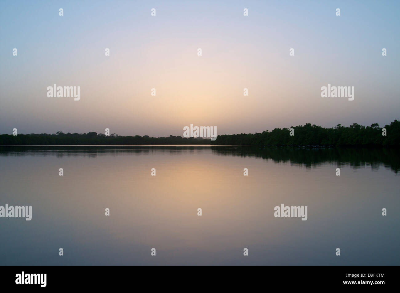 Mangroven bei Sonnenuntergang, Gambia, Westafrika, Afrika Stockfoto