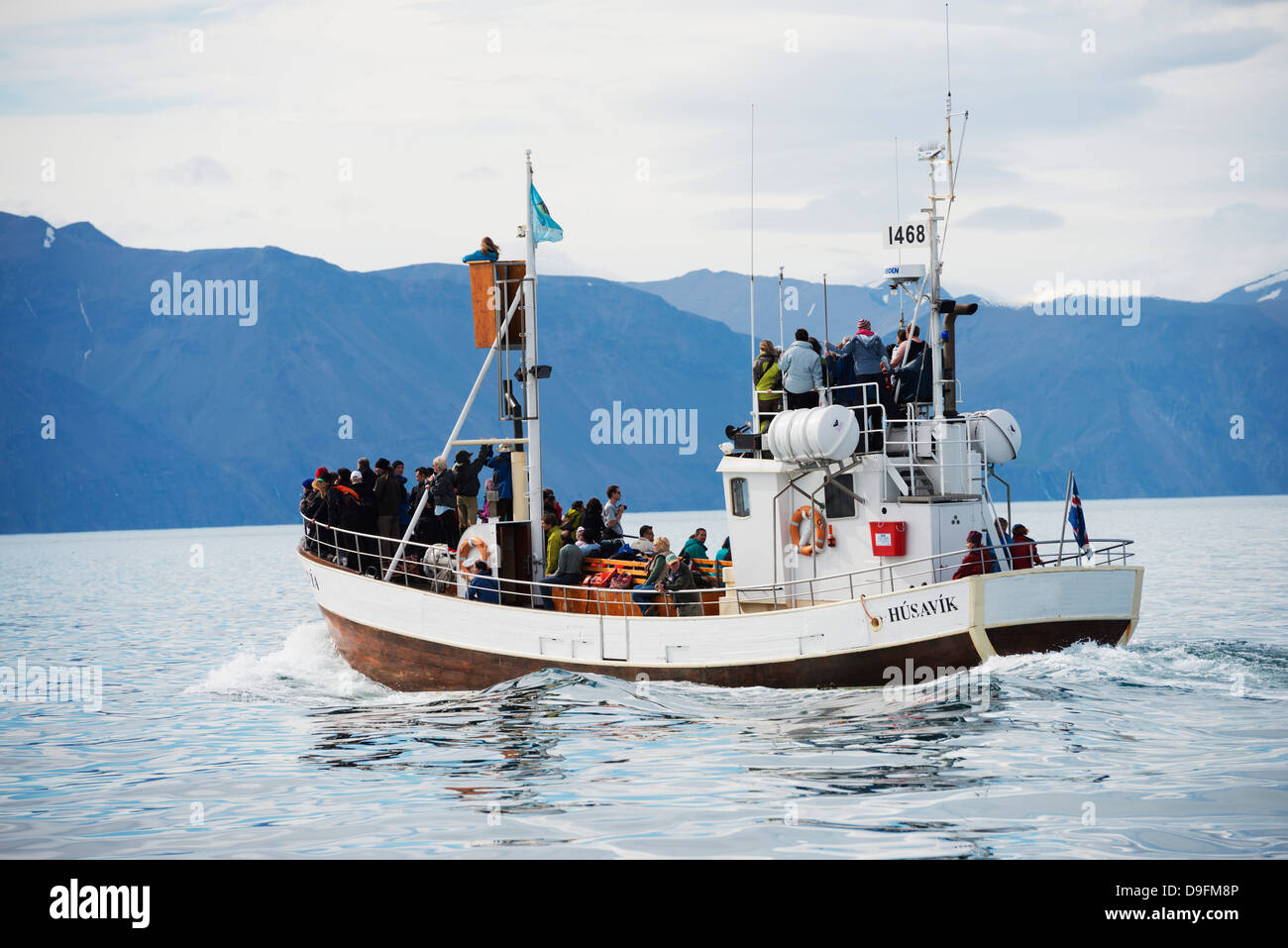 Whale watching Tour, Nordregion, Husavik, Island, Polarregionen Stockfoto