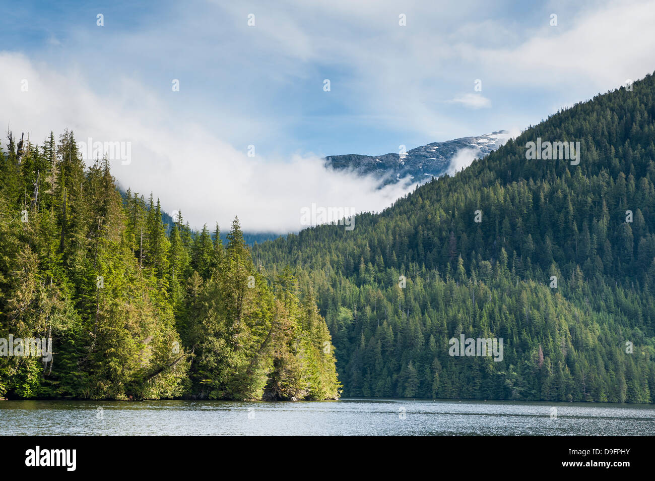 Küstenlandschaft in Great Bear Rainforest, British Columbia, Kanada Stockfoto