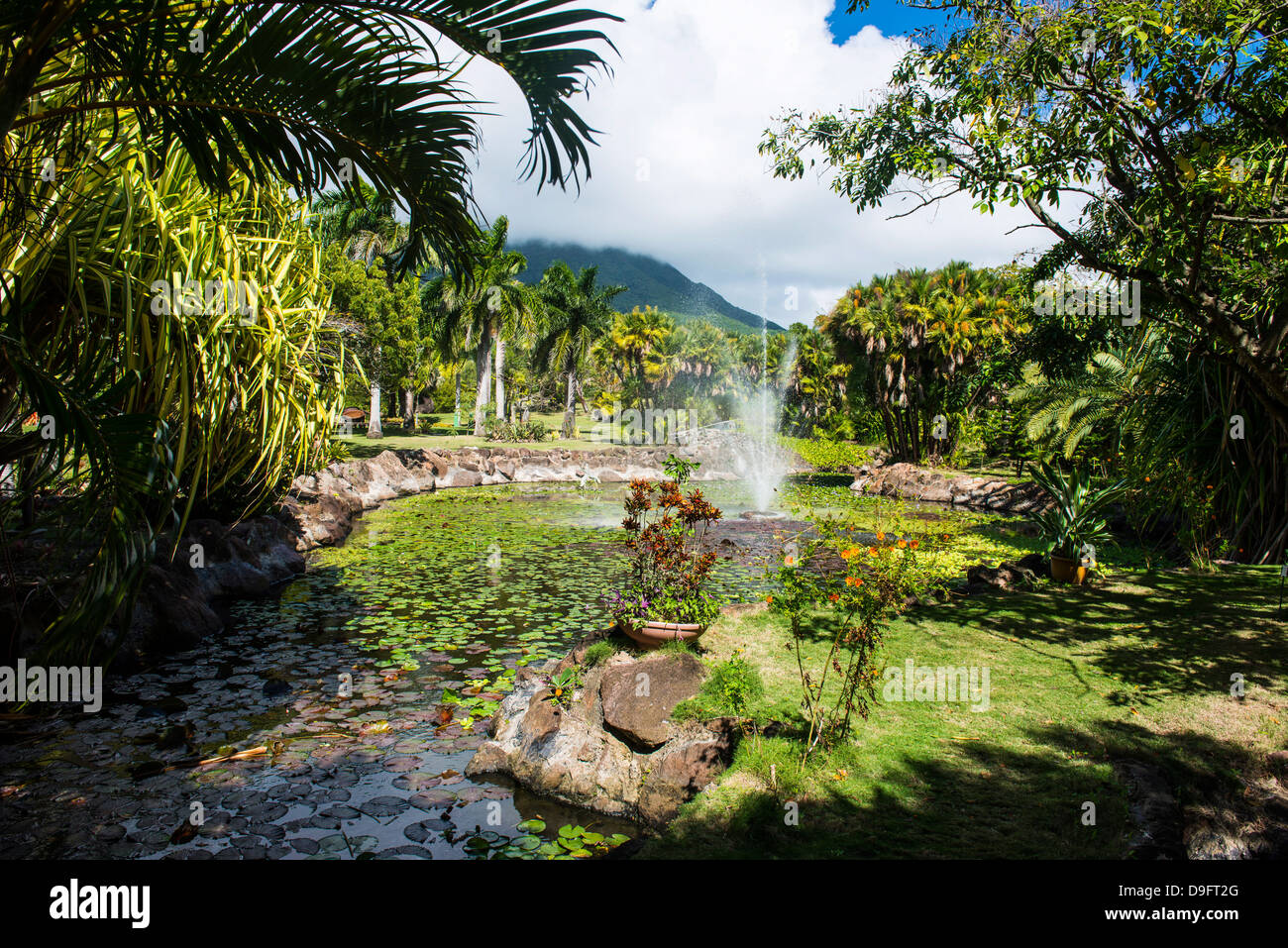 Botanical garden Fotos und Bildmaterial in hoher Auflösung Alamy