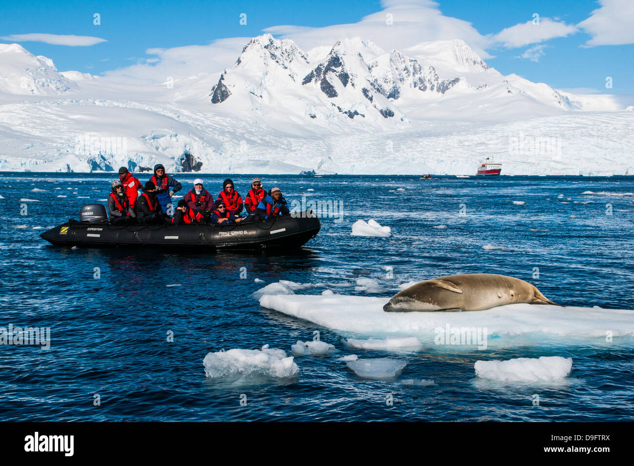 Touristen in ein Zodiac vor Gletscher in Mittelklassemodelle Bucht Blick auf einen Leoparden zu versiegeln, Antarktis, Polarregionen Stockfoto