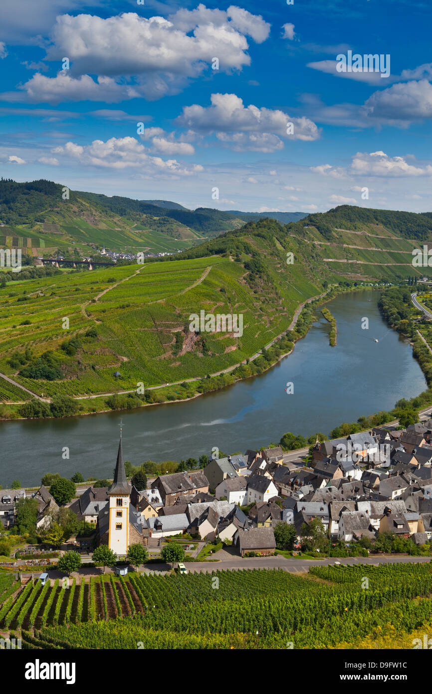 Der berühmte Bogen in der Nähe von Bremm an der Mosel, Rheinland-Pfalz, Deutschland Stockfoto