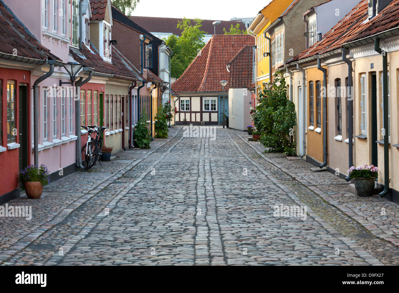 Gepflasterte Gasse in der Altstadt der Armen, Stadt der Bettler, Odense, Fyn, Dänemark, Skandinavien Stockfoto