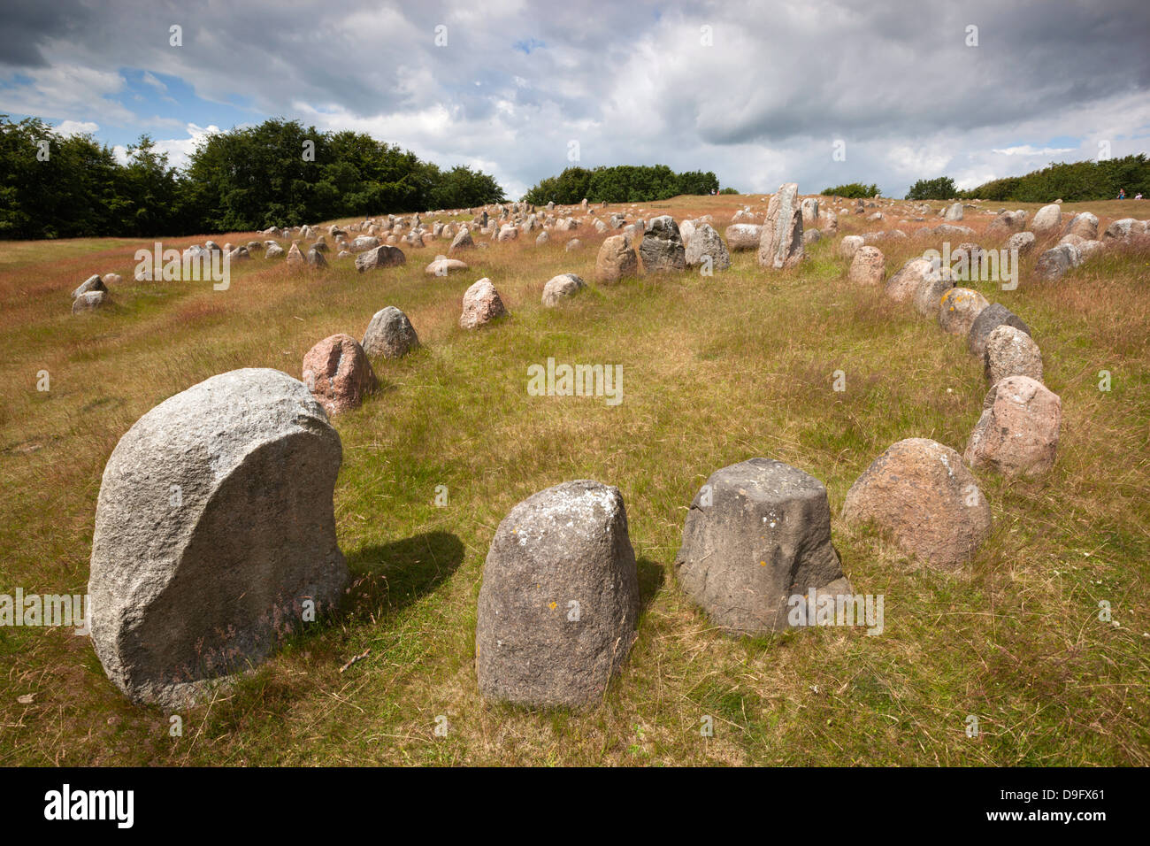 Viking Gräberfeld mit Steinen gelegt in ovalen Umriss eines Wikingerschiffes, Lindholm Hoje, Aalborg, Jütland, Dänemark, Skandinavien Stockfoto