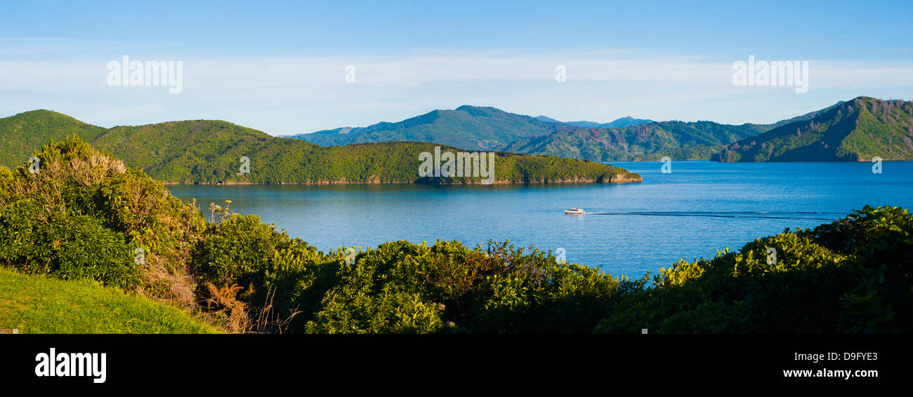 Speed-Boot in Picton, Marlborough Region, Queen Charlotte Sound, Südinsel, Neuseeland Stockfoto