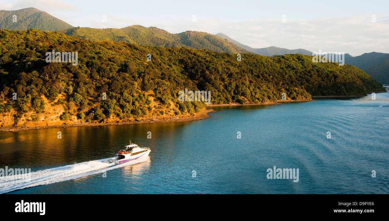 Speed-Boot in Picton, Marlborough Region, Queen Charlotte Sound, Südinsel, Neuseeland Stockfoto