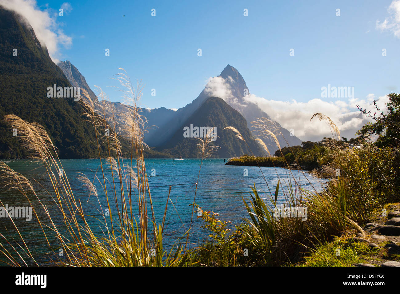 Mitre Peak, Milford Sound, Fiordland-Nationalpark, UNESCO-Weltkulturerbe, Südinsel, Neuseeland Stockfoto