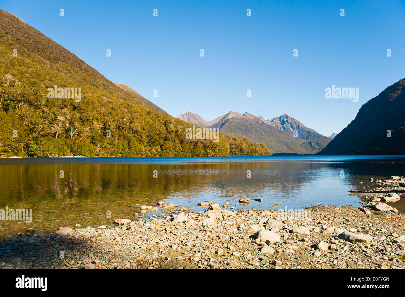 Lake Gunn Berg Reflexionen, Fjordland National Park, UNESCO-Weltkulturerbe, Südinsel, Neuseeland Stockfoto