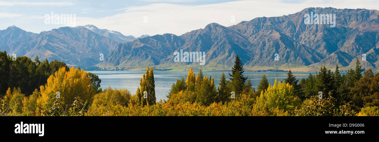 Herbstliche Bäume an der Lake Hawea, West Coast, Südinsel, Neuseeland Stockfoto