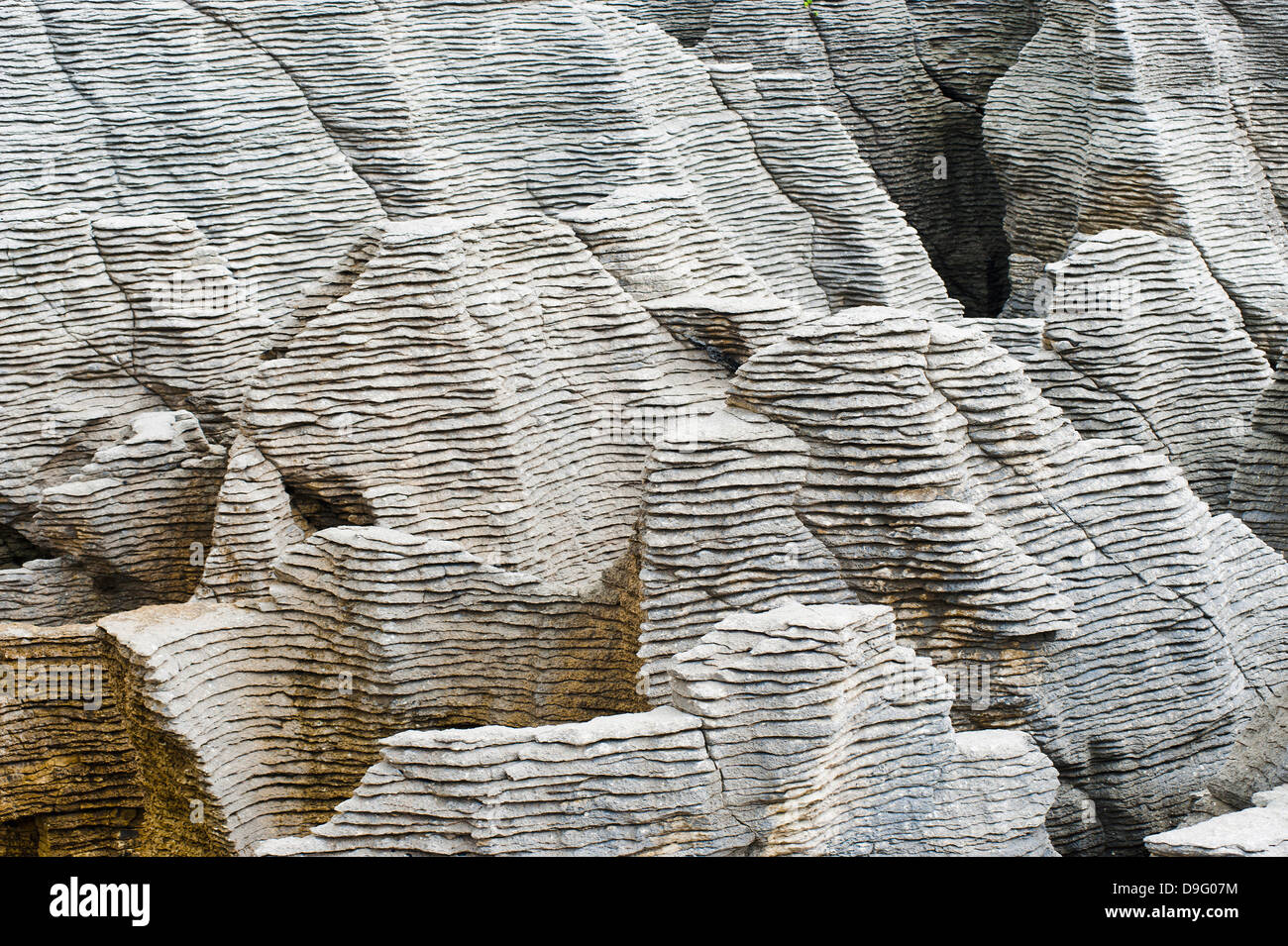 Rock-Muster am Pancake Rocks, Punakaiki, West Coast, Südinsel, Neuseeland Stockfoto