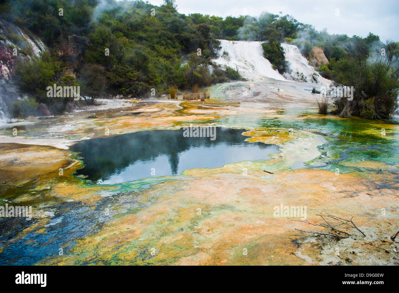 Künstler Palette und Rainbow Terrace in Orakei Korako Thermal Park, The Hidden Valley, Nordinsel, Neuseeland Stockfoto