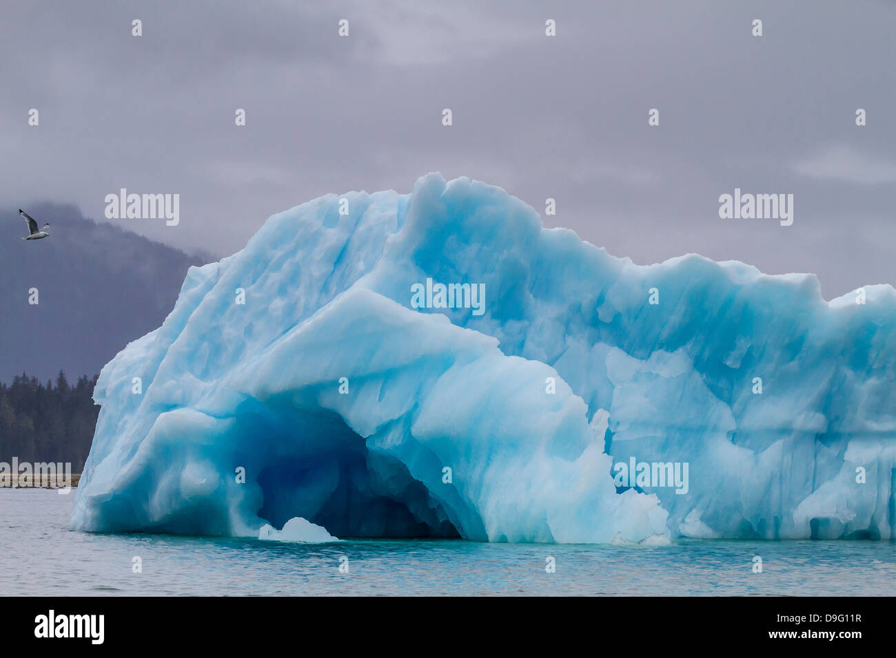 Gletschereis gekalbt vom LeConte Gletscher, draußen Petersburg, südöstlichen Alaska, USA Stockfoto
